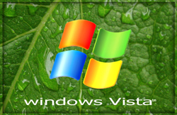 Security tools are available for Vista