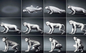 See 550 million years of human evolution in 1 minute