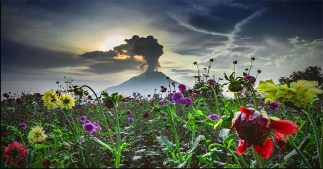 See active volcanoes around the world