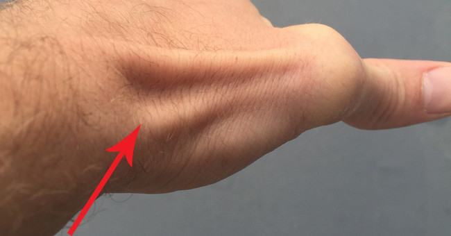 See all day but you probably don't know what this 'hollow' is for