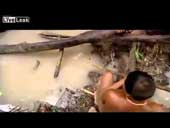 See Amazon Aboriginal people catch huge electric eels