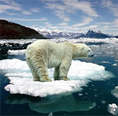 See Earth's 'prophetic' animals endangered