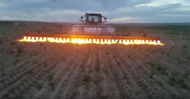 See foreign farmers killing weeds with ... sprayers