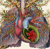 See human anatomy, through a unique set of floral images