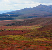 See millions of years old radio stations under the Greenland ice sheet