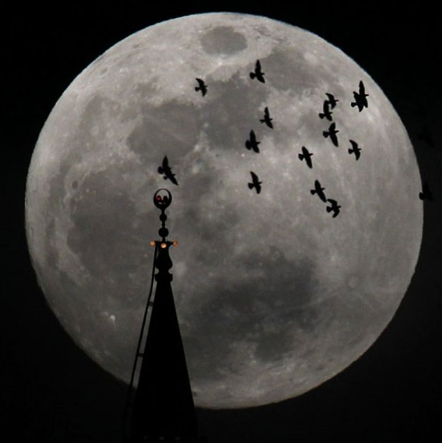 See 'super moon' all over the world