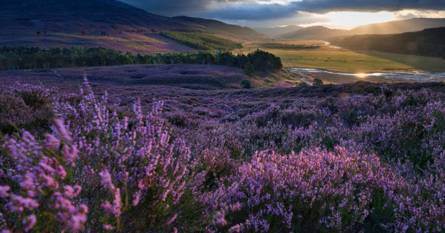 See the beautiful nature peaceful on Earth Day