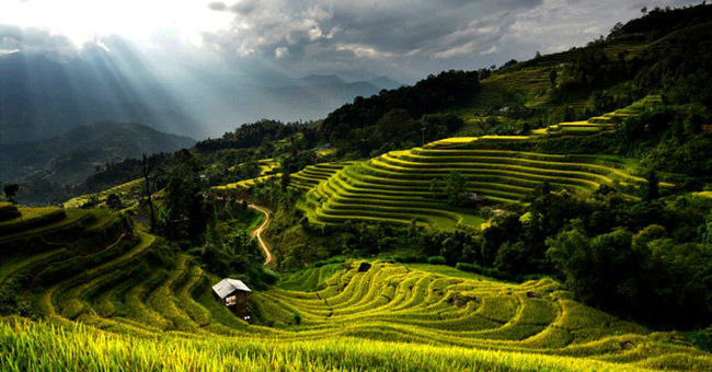 See the beauty of the land and the Hoang Su Phi people