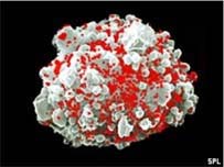 Selenium can fight HIV?
