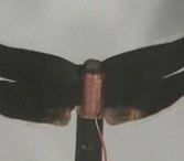 Self-bending paper