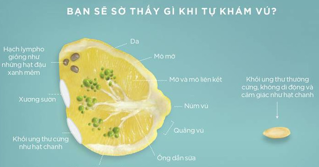 Self-check for signs of breast cancer through sliced ​​images of lemon