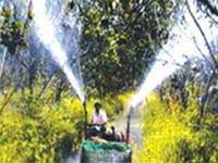 Semi-automatic sprinkler by homemade farmers