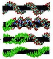 Sensor chip made from carbon nanotubes