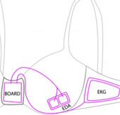 Sensory chest control of stress-induced eating