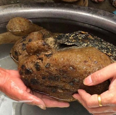 Sent to strange creatures, suspected to be rare and precious mushrooms