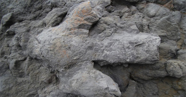 Series of dinosaur footprints revealed after storm in England