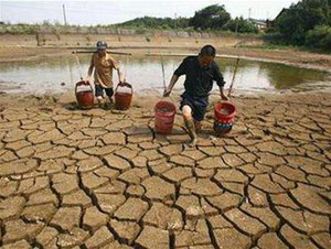 Session 62 UN General Assembly: Prioritizing the issue of climate change