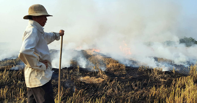 Seven ways to turn straw into money, instead of burning it