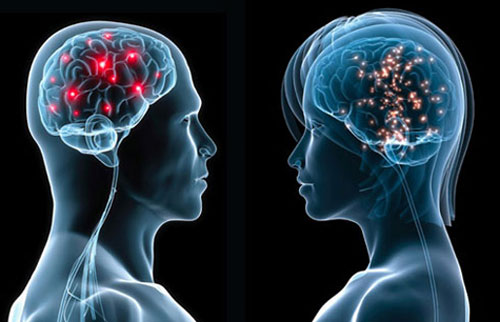 Sex map on female brain