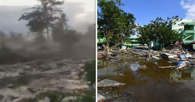 Shock: Land in Indonesia