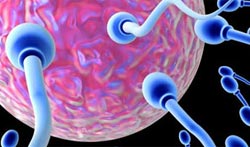 Shocking forecasts about future births