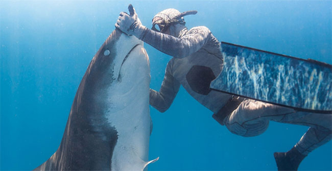 Shocking image of the scuba diver hypnotizing the world's most ferocious shark
