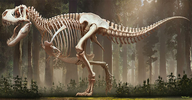 Shocking revelations about tyrant dinosaurs