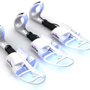 Shoe deodorizer for foot fouls