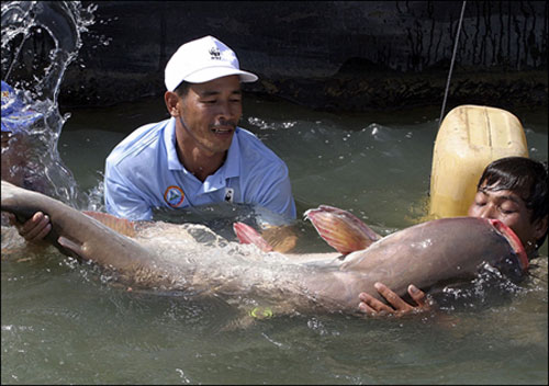 'Should postpone dam construction on the Mekong for 10 years'