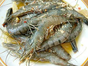 Shrimp shells help reduce cholesterol