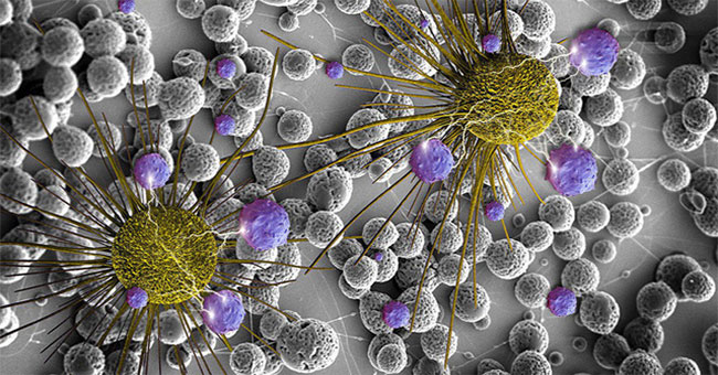 Siberia scientists develop a new technology to treat cancer