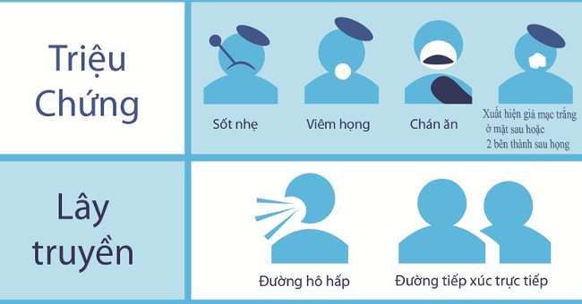 Signs of identification and prevention of diphtheria