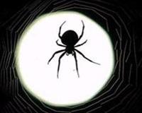 Silk spider healing