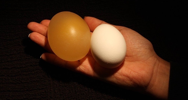 Simple experiment to turn eggs into transparent balls, bouncing like table tennis