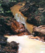 Simple solution to treat arsenic contaminated soil