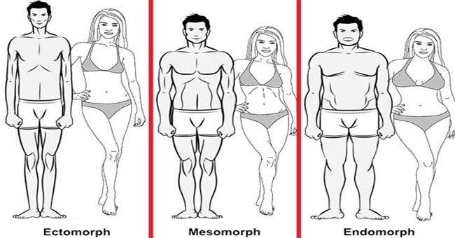 Simple test with wrists indicates you can be a model, or sumo fighter