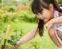 Simple ways to teach children about science