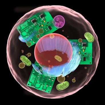 Simulate cells with transistors