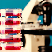 Simulation of mutations that support HIV treatment
