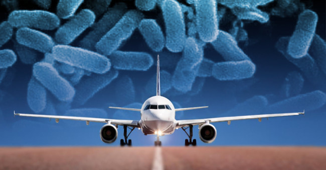 Since the trip, many people have brought antibiotic resistant bacteria home