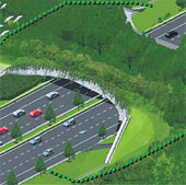 Singapore built the first ecological bridge in Southeast Asia