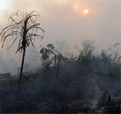 Singapore is concerned about forest fires in Indonesia