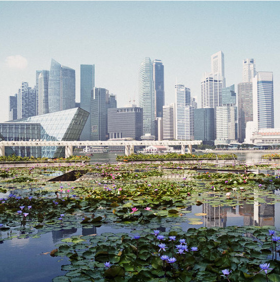 Singapore plans to become the first