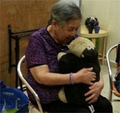 Singapore studies robots capable of healing