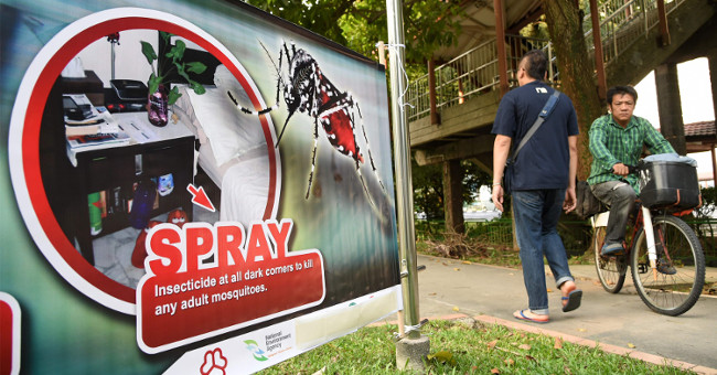 Singapore: Zika virus is transmitted in the country