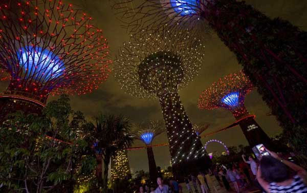 Singapore's super-garden 'super-tree'