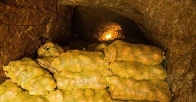 Sitting in a potato cellar, the old farmer discovers a huge treasure