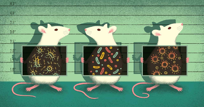Situation of laboratories in the UK when accidentally creating a