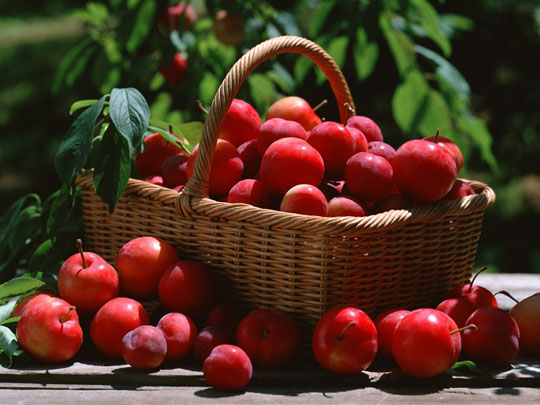 Six great effects for apple health