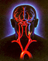 Skin palpitations also predict heart disease